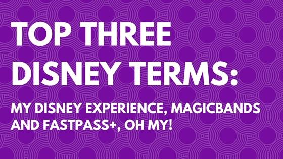 Top Three Disney Terms:  My Disney Experience, MagicBands, and FastPass+, OH MY!