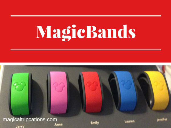 Top three Disney terms: My Disney Experience, MagicBands, FastPass+, OH MY!