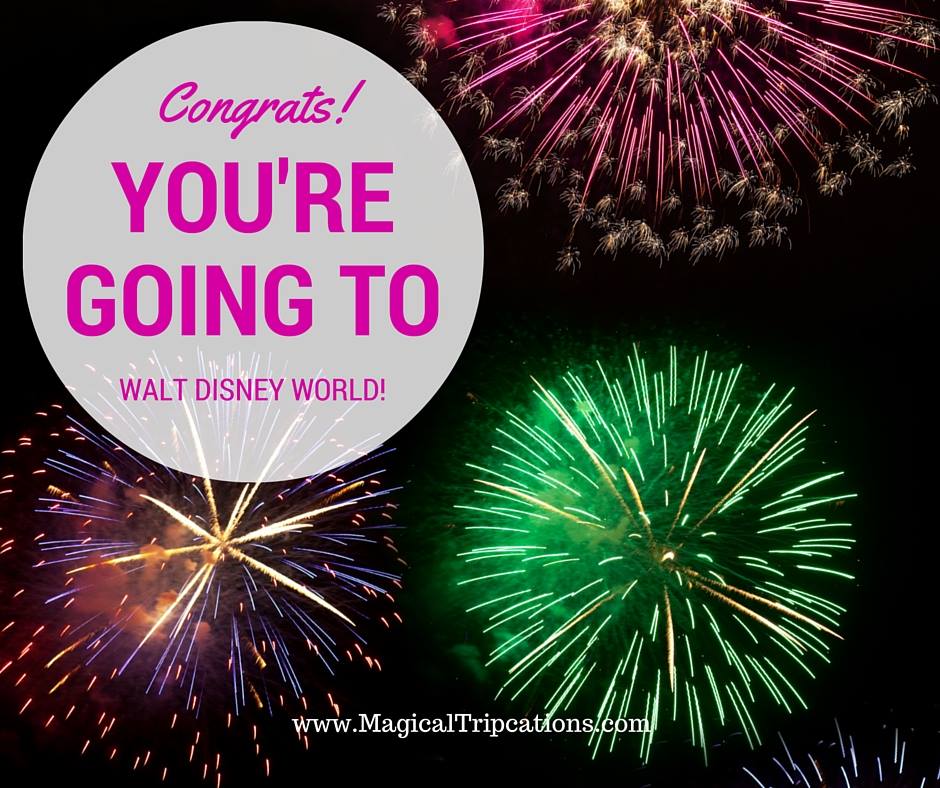 The Top Three Disney Terms: My Disney Experience, MagicBands, FastPass+, OH MY!