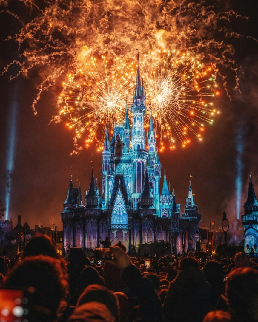 A crowd of people watching fireworks at night.